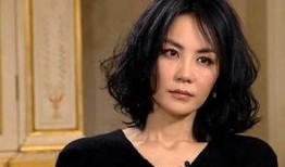 甄妮爆料王菲是哪一期视频,王菲加盟哪一期视频引发热议